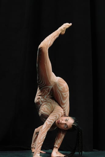 Gallery photo 2 of Serpentine Contortion & Aerial Artist