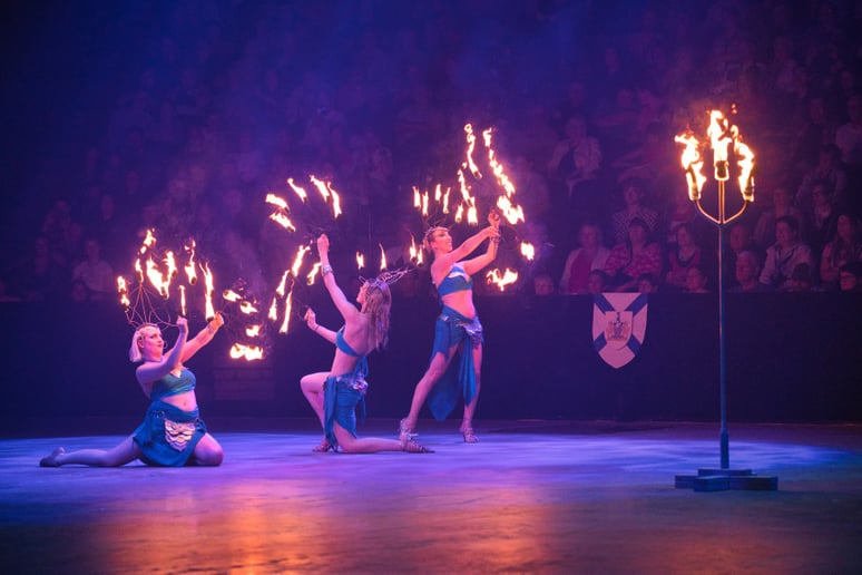 Gallery photo 5 of Serpentine Entertainment