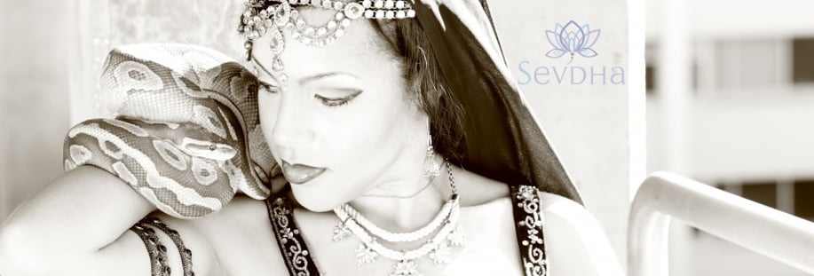Gallery photo 3 of Sevdha Belly Dance and Bollywood