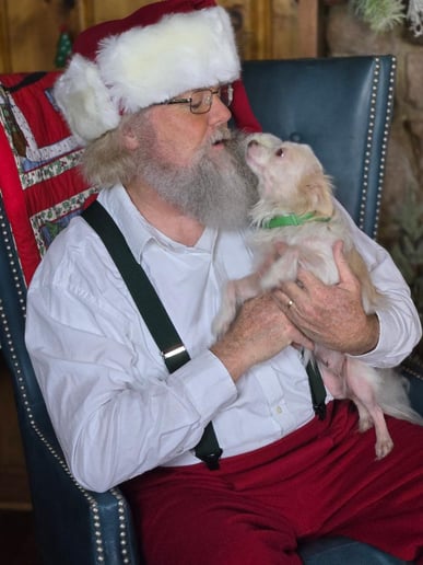 Gallery photo 6 of Seven Hills Santa
