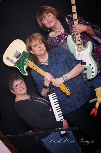 Gallery photo 7 of Shades of Gray Band