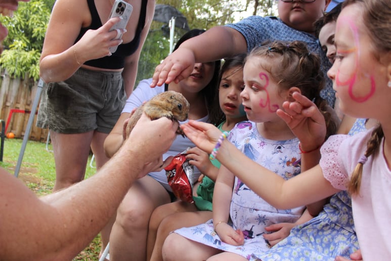 Gallery photo 5 of Shadow's Mobile Reptile Show