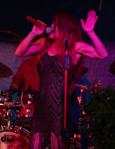 Gallery photo 2 of Shakedown