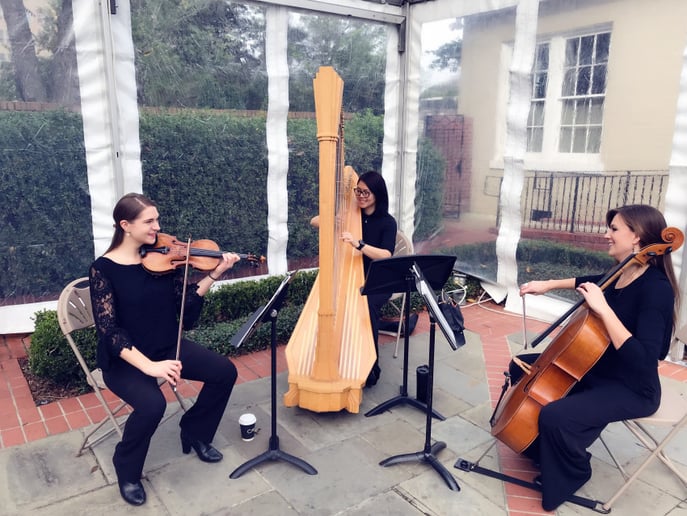 Gallery photo 3 of Castleton String Quartet