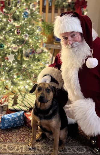 Gallery photo 9 of Shamrock Santa