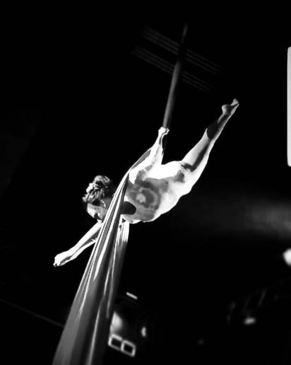 Gallery photo 8 of Shangri-La Aerial Arts LLC