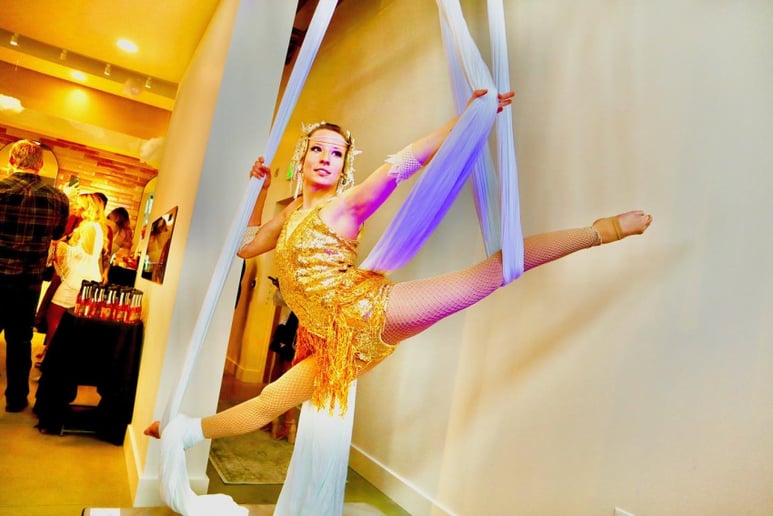 Gallery photo 1 of Shangri-La Aerial Arts LLC