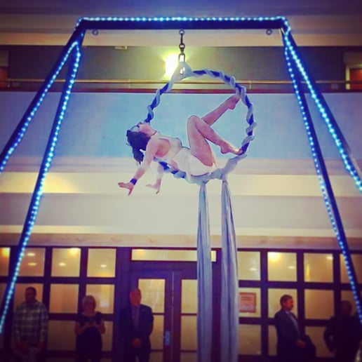 Gallery photo 3 of Shangri-La Aerial Arts LLC