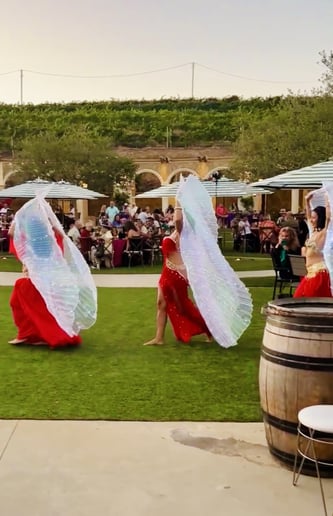 Gallery photo 15 of Shani Dance