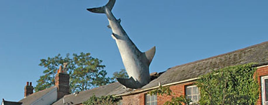 Gallery photo 7 of Sharkey Music