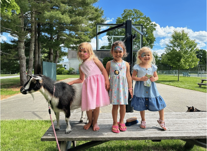 Gallery photo 13 of Sheffield Way Farm LLC