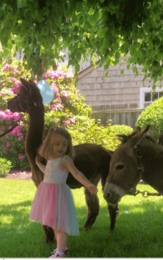 Gallery photo 14 of Sheffield Way Farm LLC