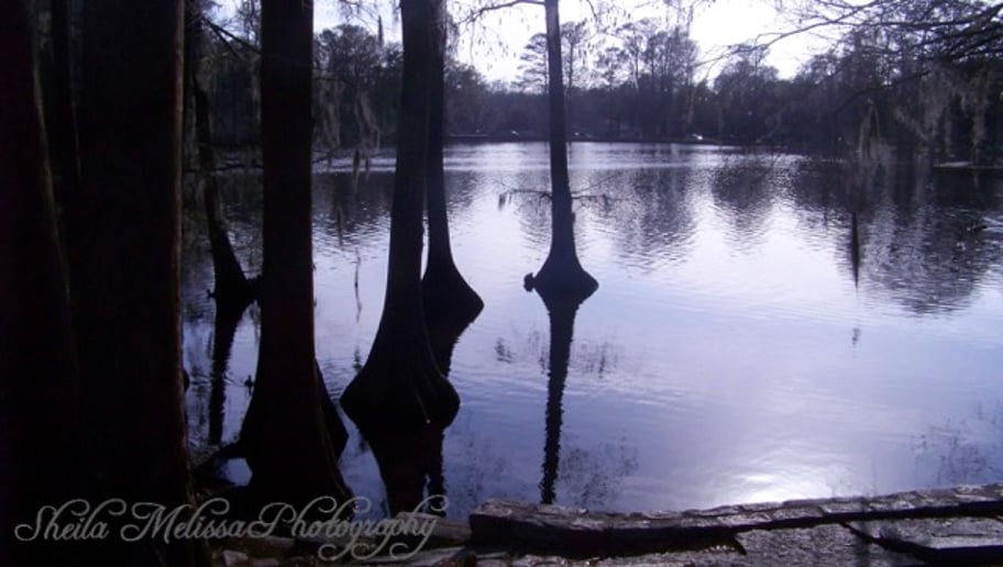Gallery photo 1 of Sheila Melissa Photography