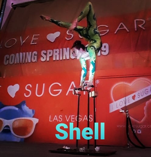 Gallery photo 8 of Shell