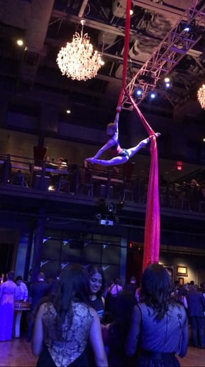 Gallery photo 67 of Cirque deLuxe