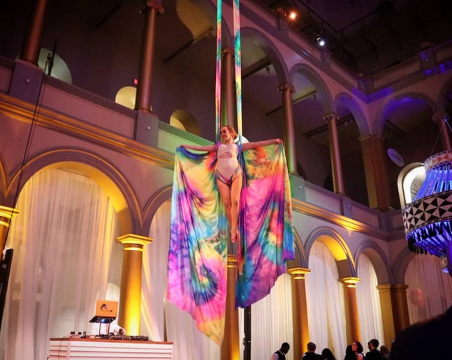 Gallery photo 18 of Cirque deLuxe