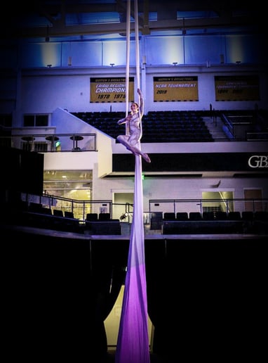 Gallery photo 53 of Cirque deLuxe