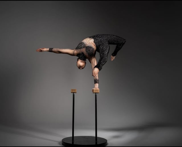 Gallery photo 37 of Cirque deLuxe