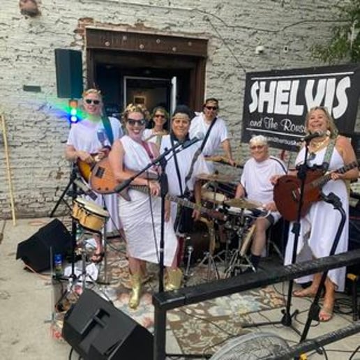 Gallery photo 8 of Shelvis and the Roustabouts