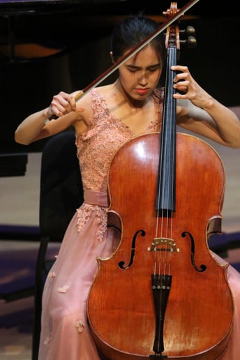 Gallery photo 4 of Shengyu Cello