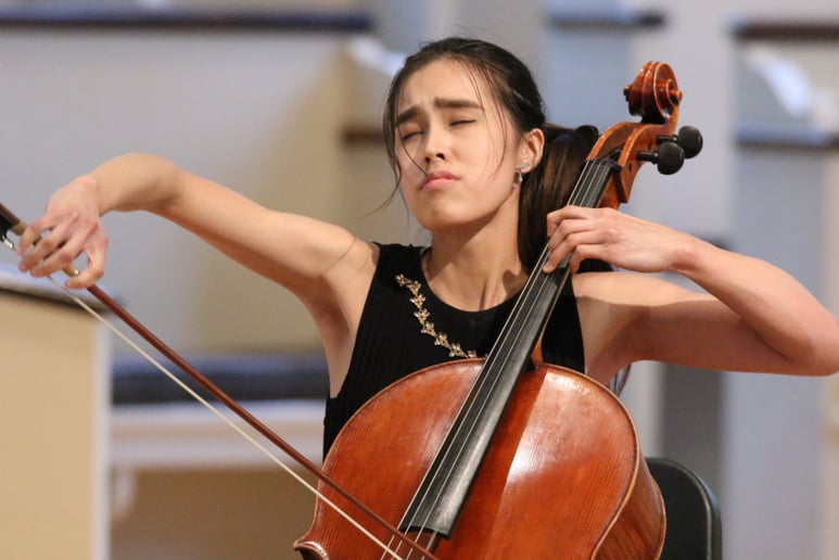 Gallery photo 1 of Shengyu Cello