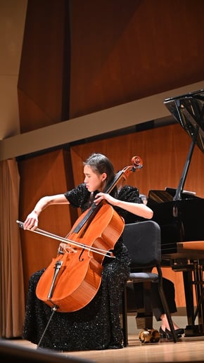 Gallery photo 6 of Shengyu Cello