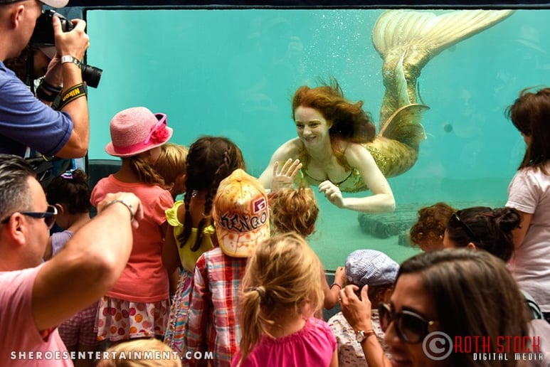 Gallery photo 9 of Sheroes Entertainment Mermaids and Pirates
