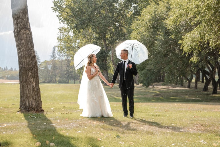 Gallery photo 4 of Sherri Levey Photography