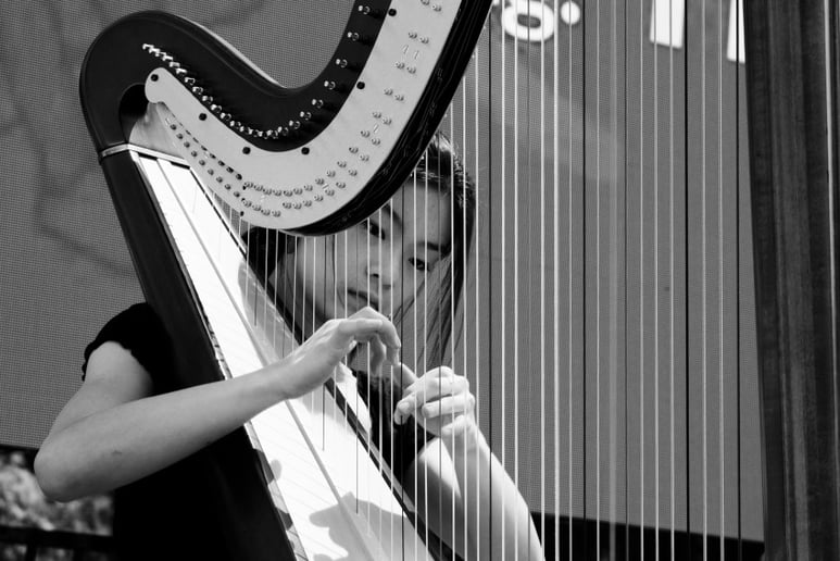 Gallery photo 4 of Sarah Hsiao, Harpist