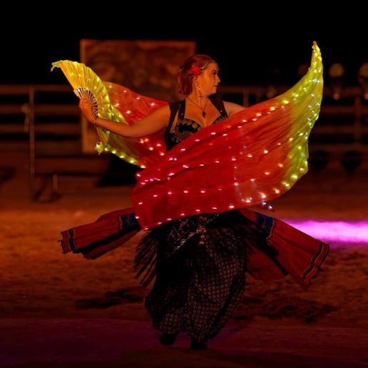 Gallery photo 6 of Shimmy and Spice Belly Dance