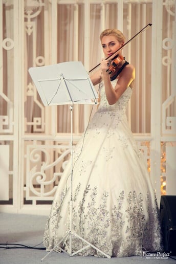 Gallery photo 1 of Shining Strings