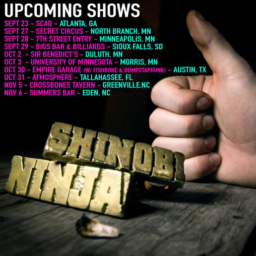 Gallery photo 1 of Shinobi Ninja