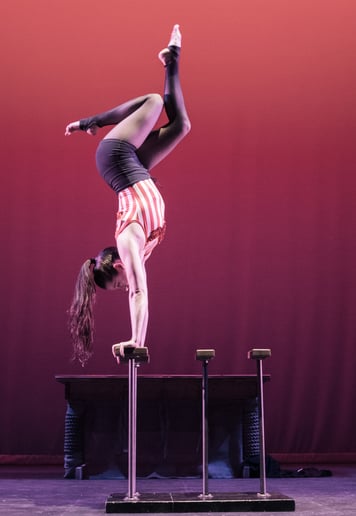 Gallery photo 1 of SHOW Circus Studio