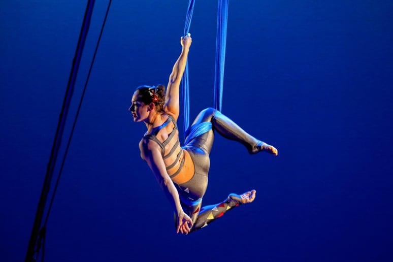 Gallery photo 4 of SHOW Circus Studio