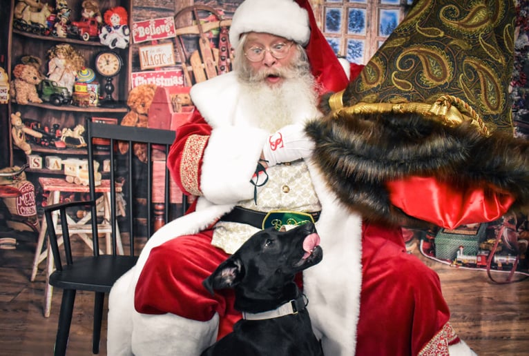 Gallery photo 7 of Show Me Santa