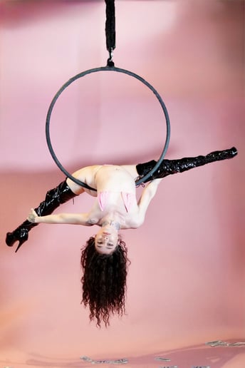 Gallery photo 1 of Show Stopping Aerial Performance