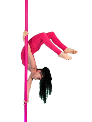 Gallery photo 2 of Show Stopping Aerial Performance