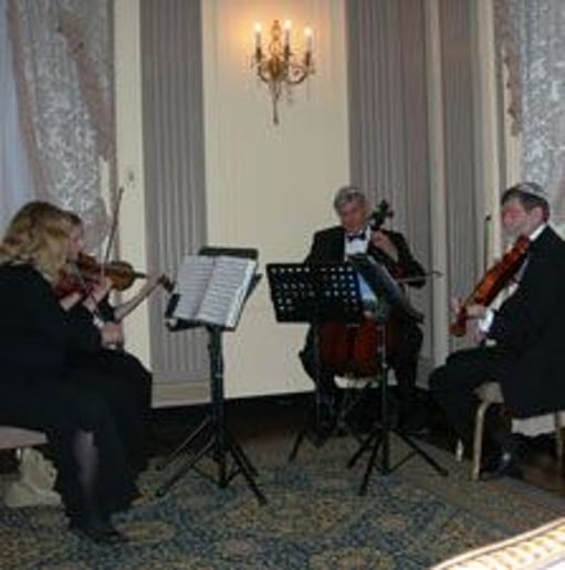 Gallery photo 1 of Shrewsbury String Quartet