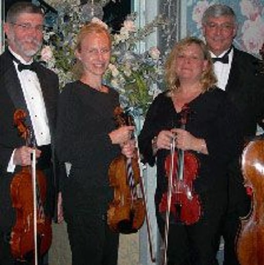 Gallery photo 3 of Shrewsbury String Quartet
