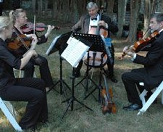 Gallery photo 2 of Shrewsbury String Quartet