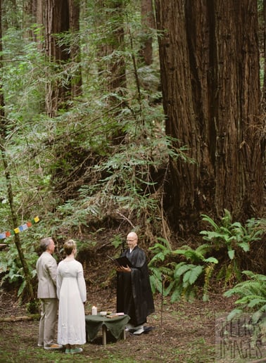 Gallery photo 6 of Shundo - Zen Priest