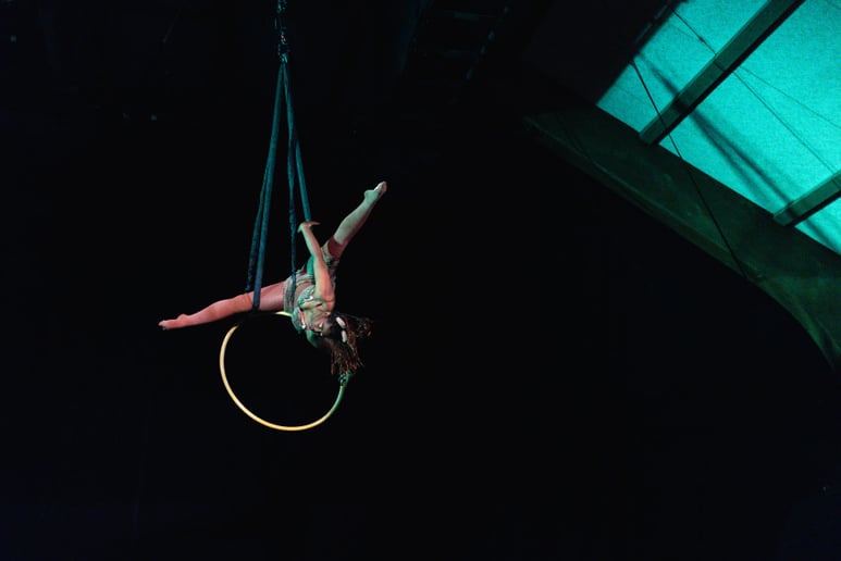 Gallery photo 2 of Sidni Lyneé Aerialist