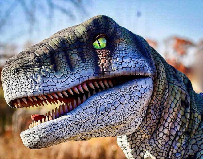 Gallery photo 7 of Sierra in the Sticks | Dinosaur Puppeteer & Performer