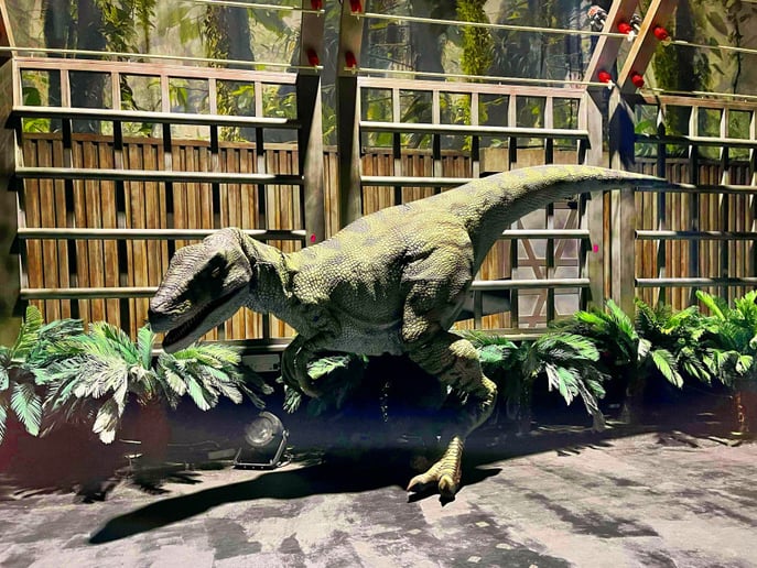 Gallery photo 2 of Sierra in the Sticks | Dinosaur Puppeteer & Performer