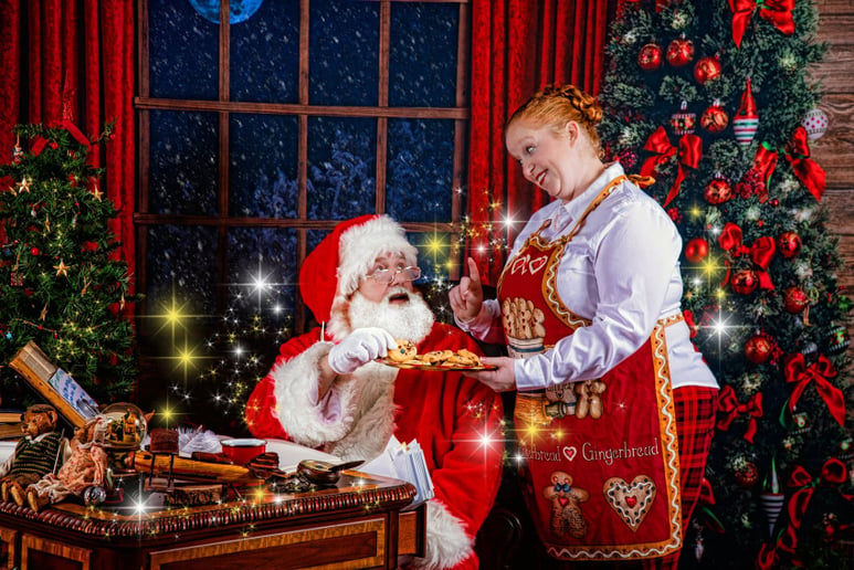 Gallery photo 8 of Sign Language Santa
