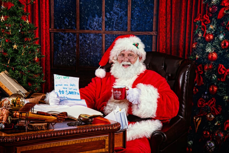 Gallery photo 5 of Sign Language Santa