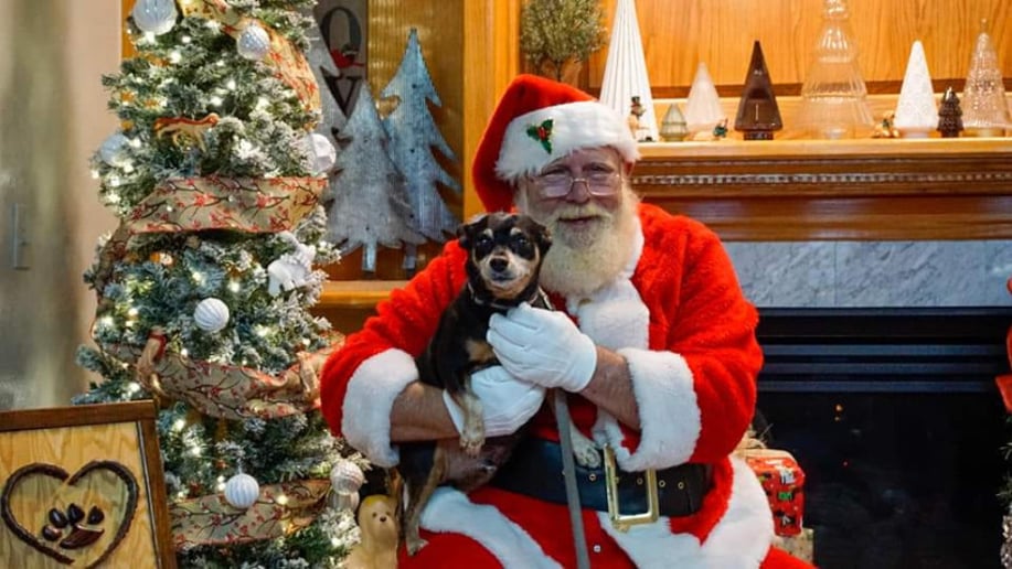 Gallery photo 7 of Sign Language Santa