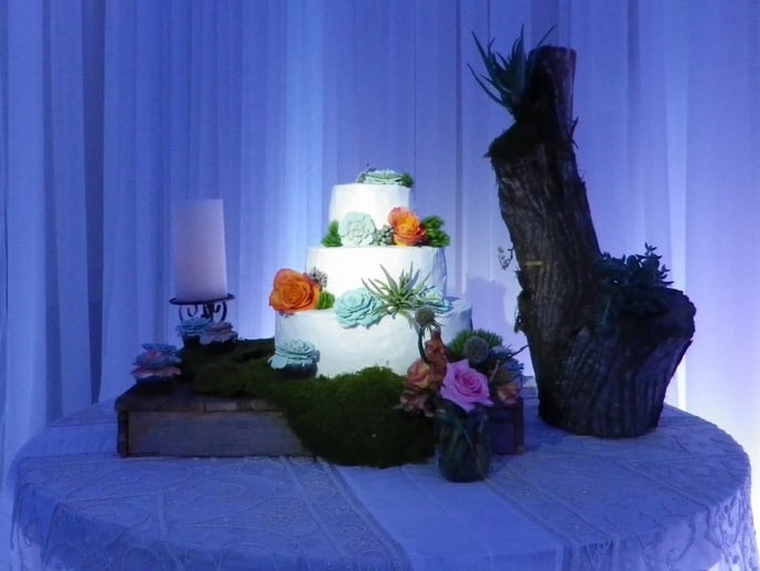 Gallery photo 3 of Signature Event Lighting