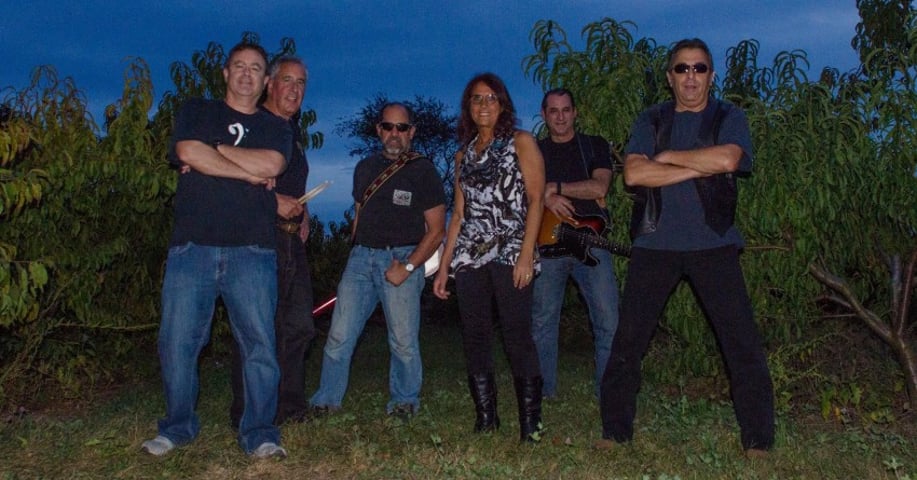 Gallery photo 5 of Orchard Hill Band