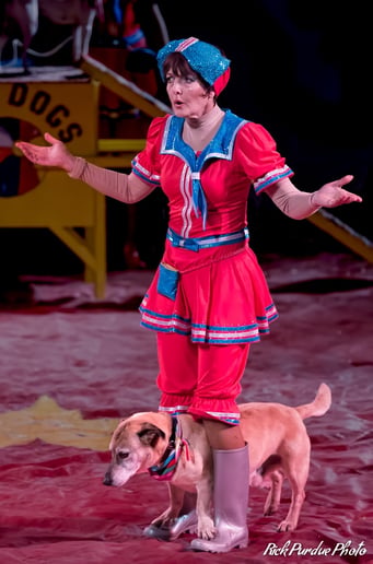 Gallery photo 1 of Pirates of Penzance- pirate puppy show